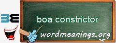 WordMeaning blackboard for boa constrictor